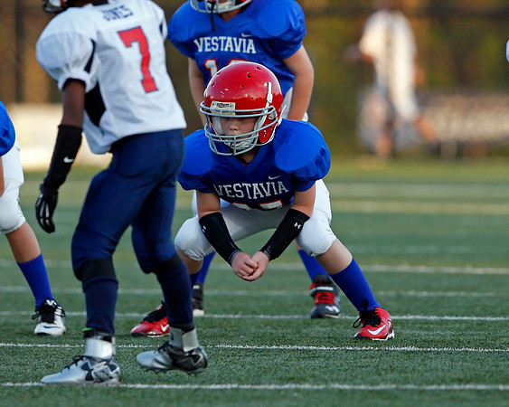 Vestavia Hills 4