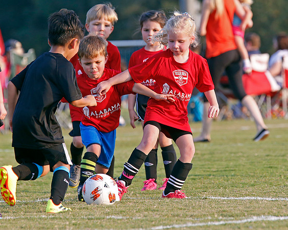 AHSAAFB: Green County at Carbon Hill