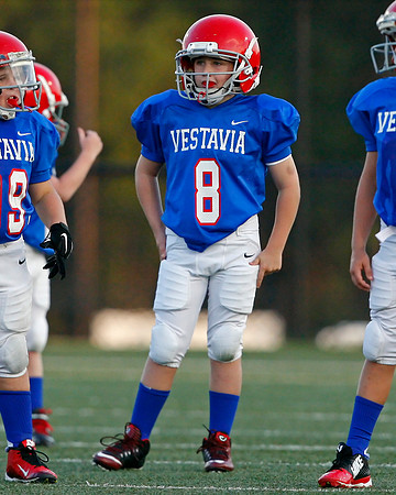 Vestavia Hills 4