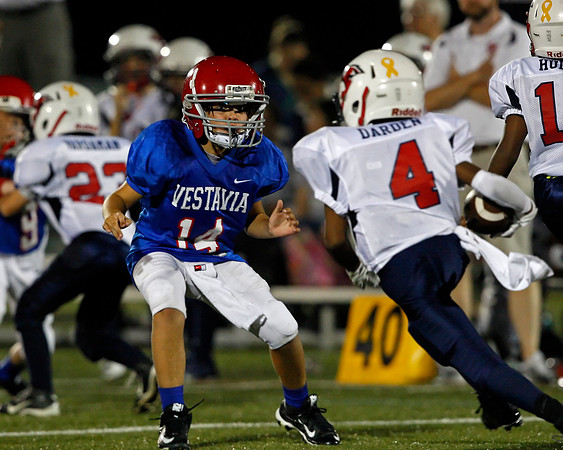 Vestavia Hills 4