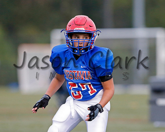 Vestavia Hills 6th Blue