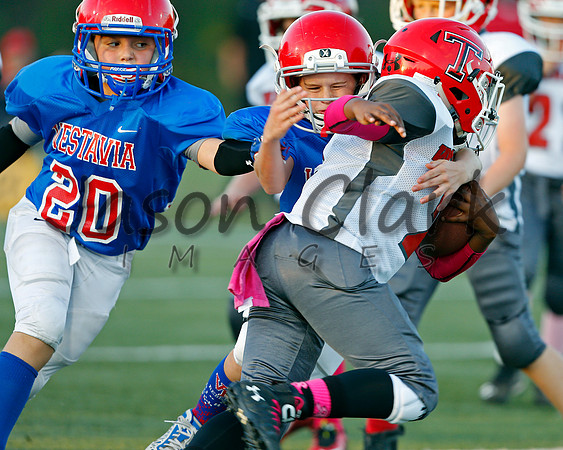 Vestavia Hills 4th Grade