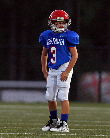 Vestavia Hills 4