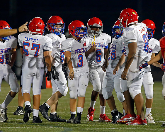 Vestavia Hills 6th Blue
