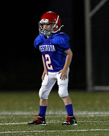 Vestavia Hills 4