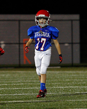 Vestavia Hills 4