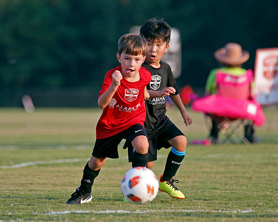 AHSAAFB: Green County at Carbon Hill