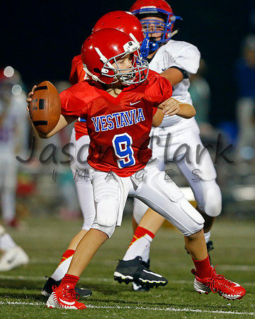 Vestavia Hills 6th Red