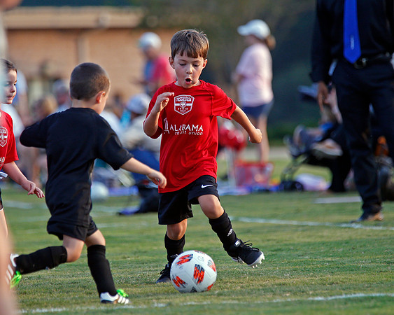 AHSAAFB: Green County at Carbon Hill