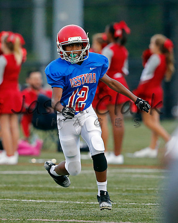Vestavia Hills 6th Blue