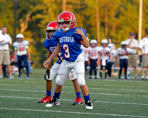 Vestavia Hills 4