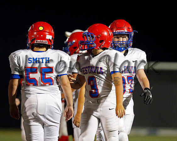 Vestavia Hills 6th Blue