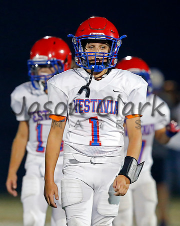 Vestavia Hills 6th Blue