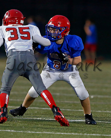 Vestavia Hills 6th Blue