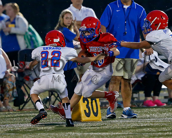 Vestavia Hills 6th Blue