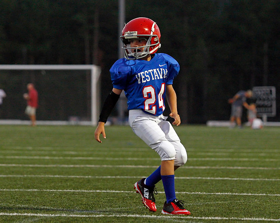 Vestavia Hills 4