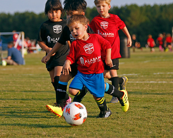 AHSAAFB: Green County at Carbon Hill
