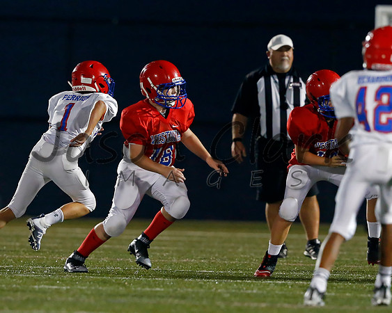 Vestavia Hills 6th Blue