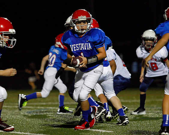 Vestavia Hills 4