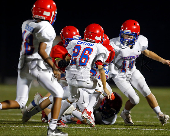 Vestavia Hills 6th Blue