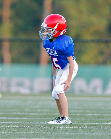 Vestavia Hills 4