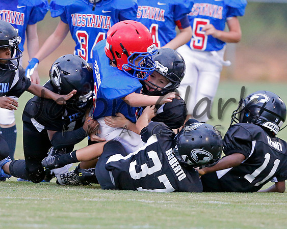 Vestavia Hills 3rd