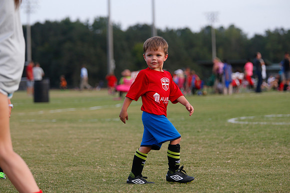 AHSAAFB: Green County at Carbon Hill