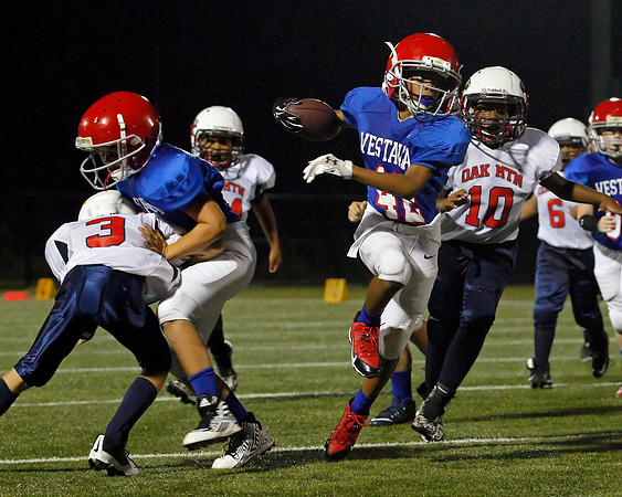 Vestavia Hills 4