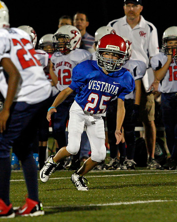 Vestavia Hills 4