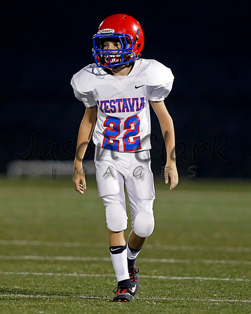 Vestavia Hills 6th Blue