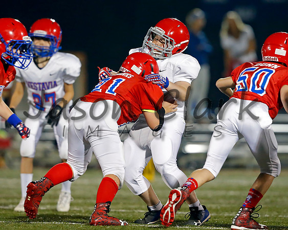 Vestavia Hills 6th Blue