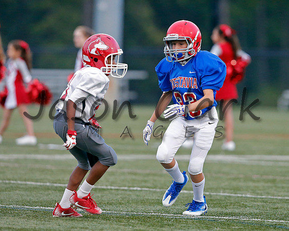 Vestavia Hills 6th Blue