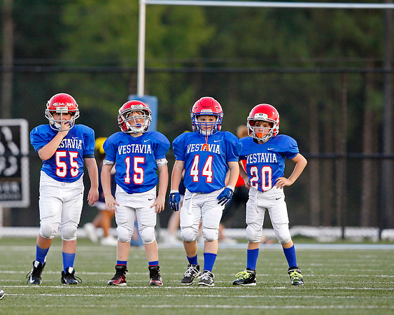 Vestavia Hills 4