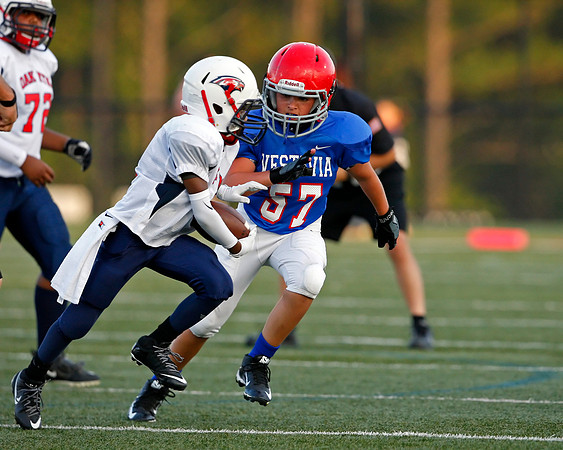 Vestavia Hills 4