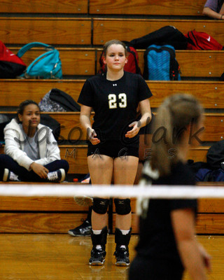 Walker Volleyball