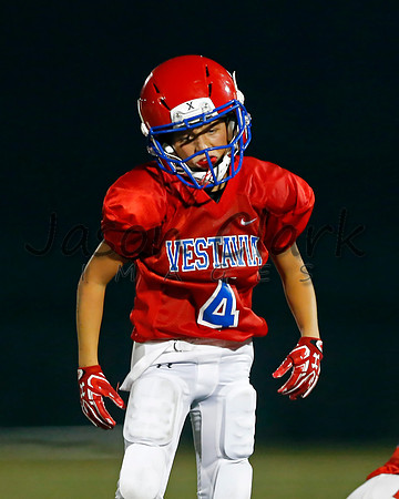 Vestavia Hills 6th Blue