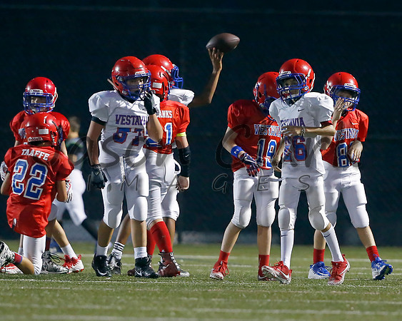 Vestavia Hills 6th Blue