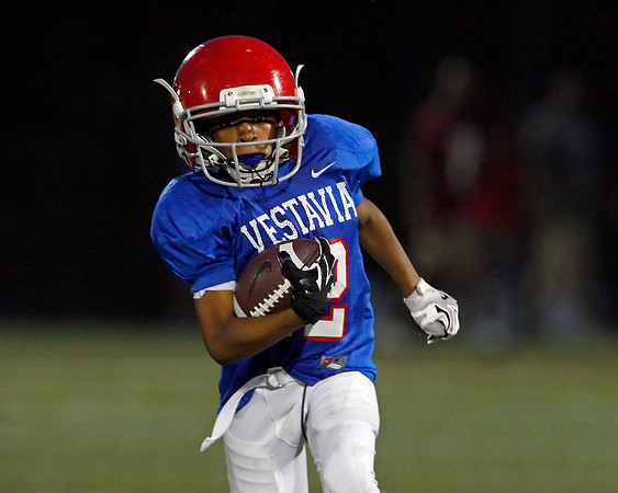 Vestavia Hills 4
