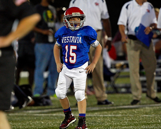 Vestavia Hills 4