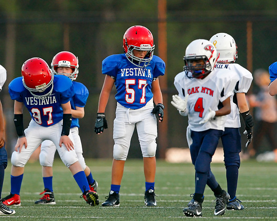 Vestavia Hills 4