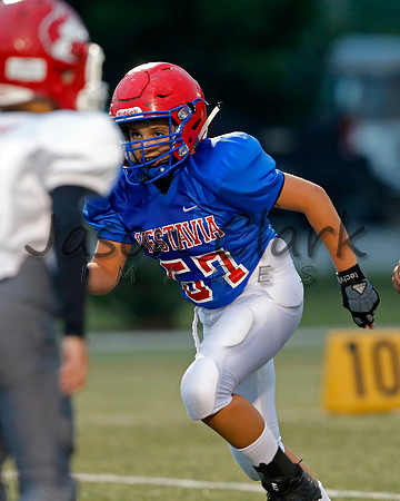 Vestavia Hills 6th Blue