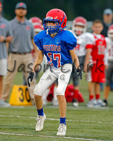 Vestavia Hills 6th Blue