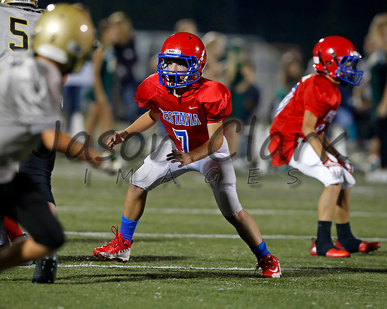 Vestavia Hills 6th Red