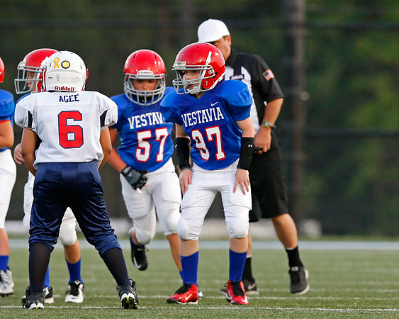 Vestavia Hills 4