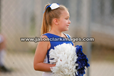 AHSAA: Carbon Hill at Curry