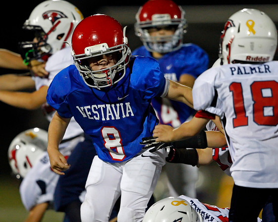 Vestavia Hills 4