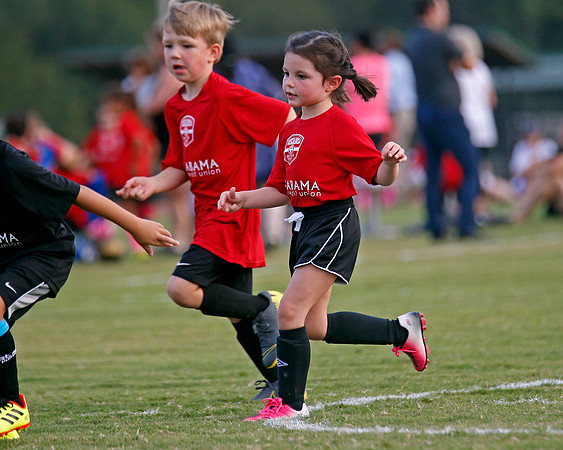 AHSAAFB: Green County at Carbon Hill