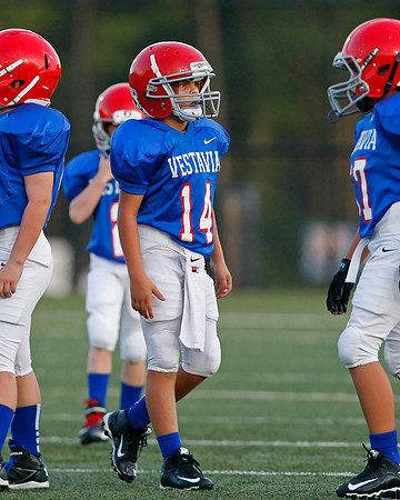 Vestavia Hills 4