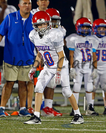Vestavia Hills 6th Blue