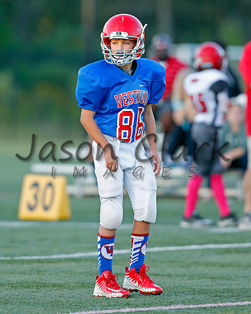 Vestavia Hills 4th Grade